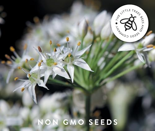 Thumbnail 6 de Gourmet Edible Flower Seed Kit — 8 Varieties by The Little Trees Bees & Seeds Company