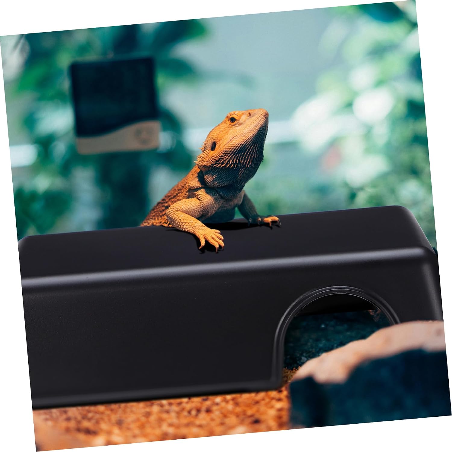 Thumbnail 6 de Milisten Reptile Hide Large Plastic Cave Shelter (9.45 x 6.77 x 2.24 inches)