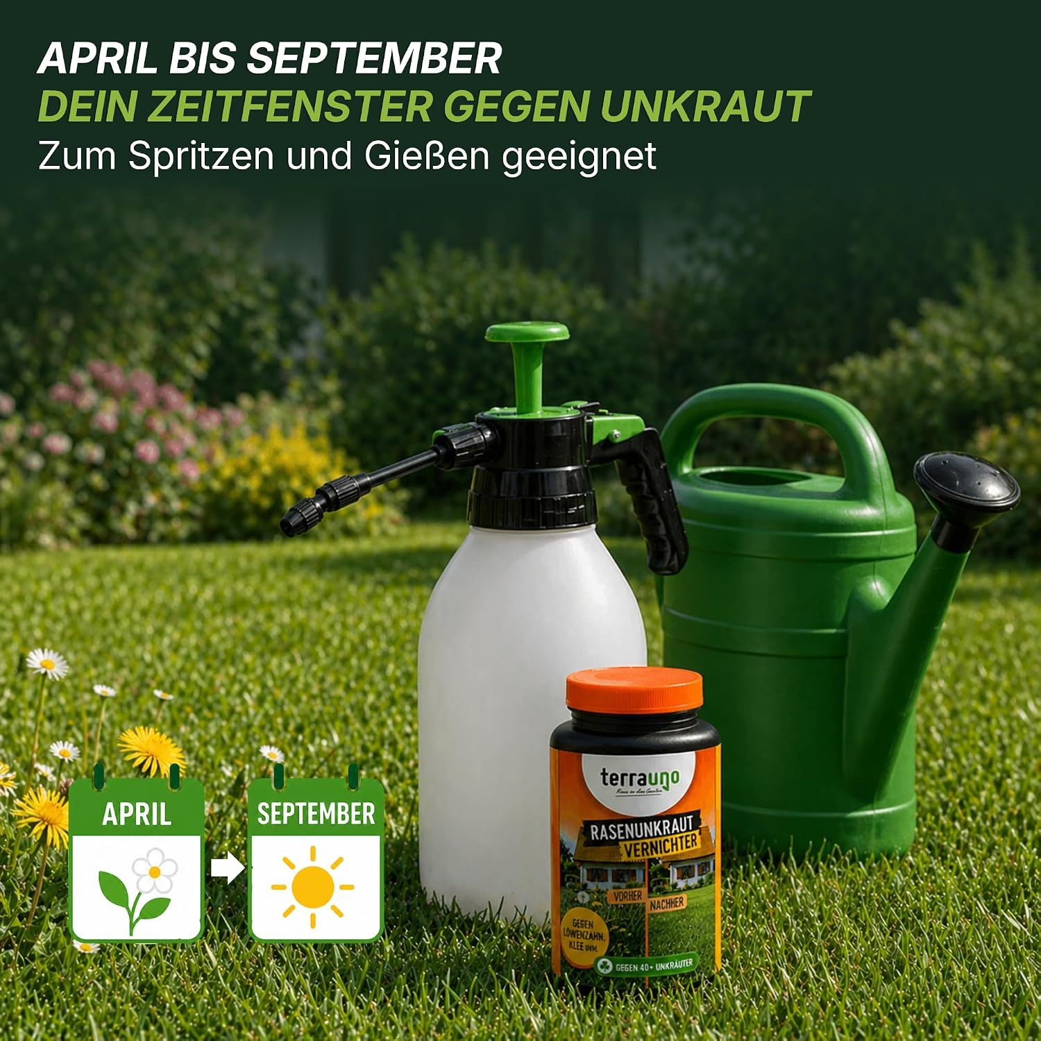 Detalle de TerraUno Unkrautvernichter Rasen 500 ml – Extra stark, wurzeltief gegen 40+ Unkräuter