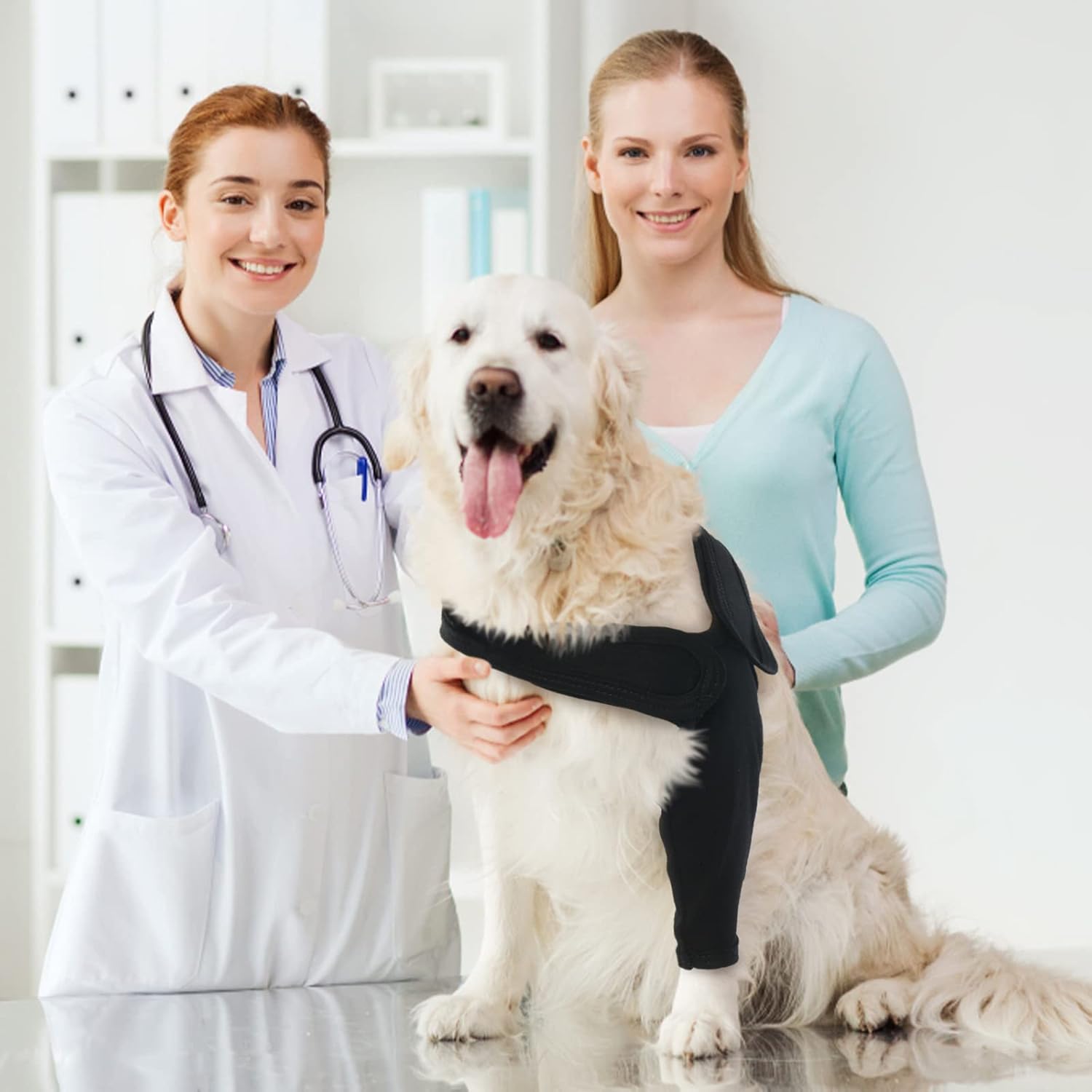 Thumbnail 6 de Recovery Sleeve Dog: Elbow Pads for Dogs – Front/Right or Left Leg Sleeve Protector