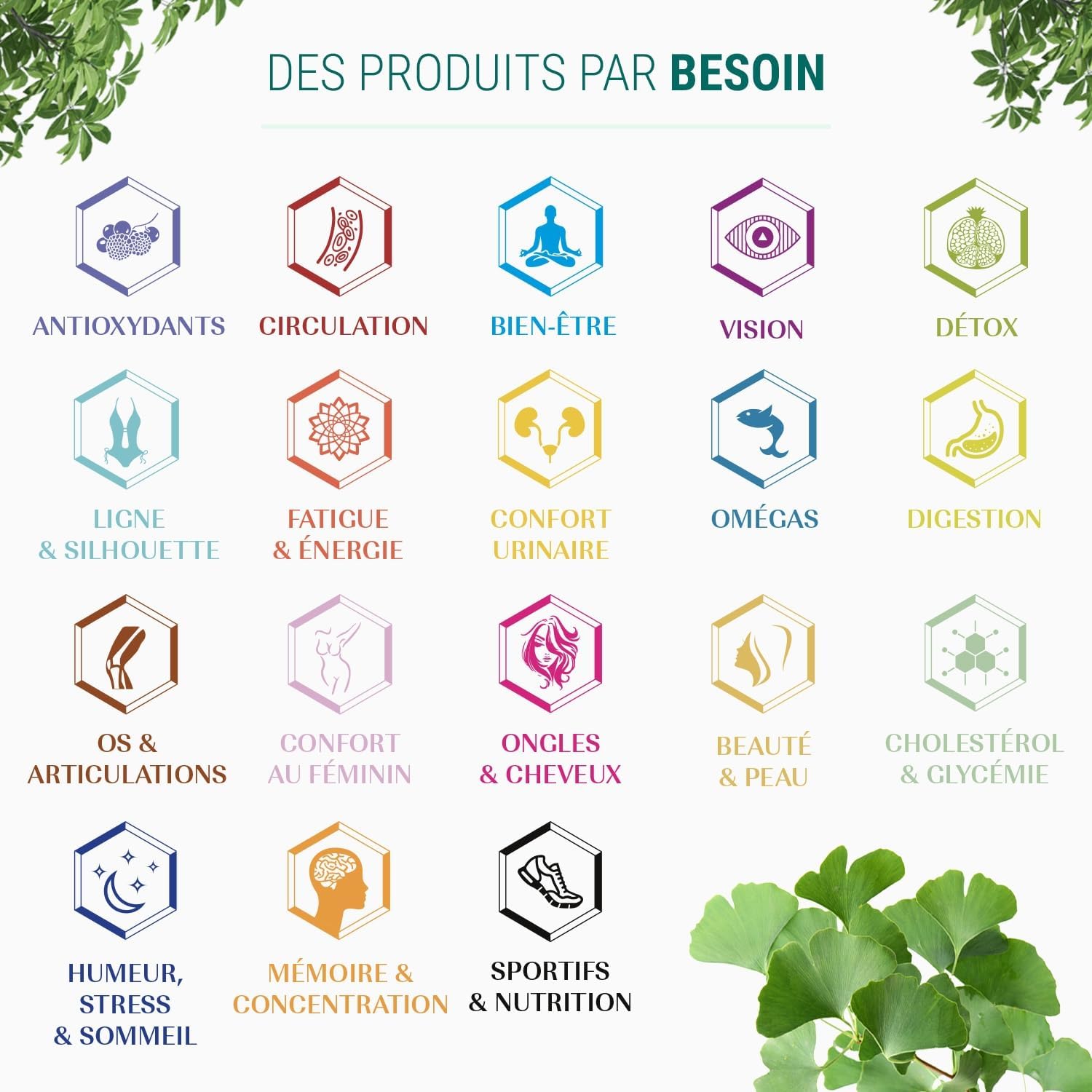 Thumbnail 5 de Naturathéra HERBAFLUID DÉTOX – Complément alimentaire détox fluide, 125 ml, Vegan et fabriqué en France