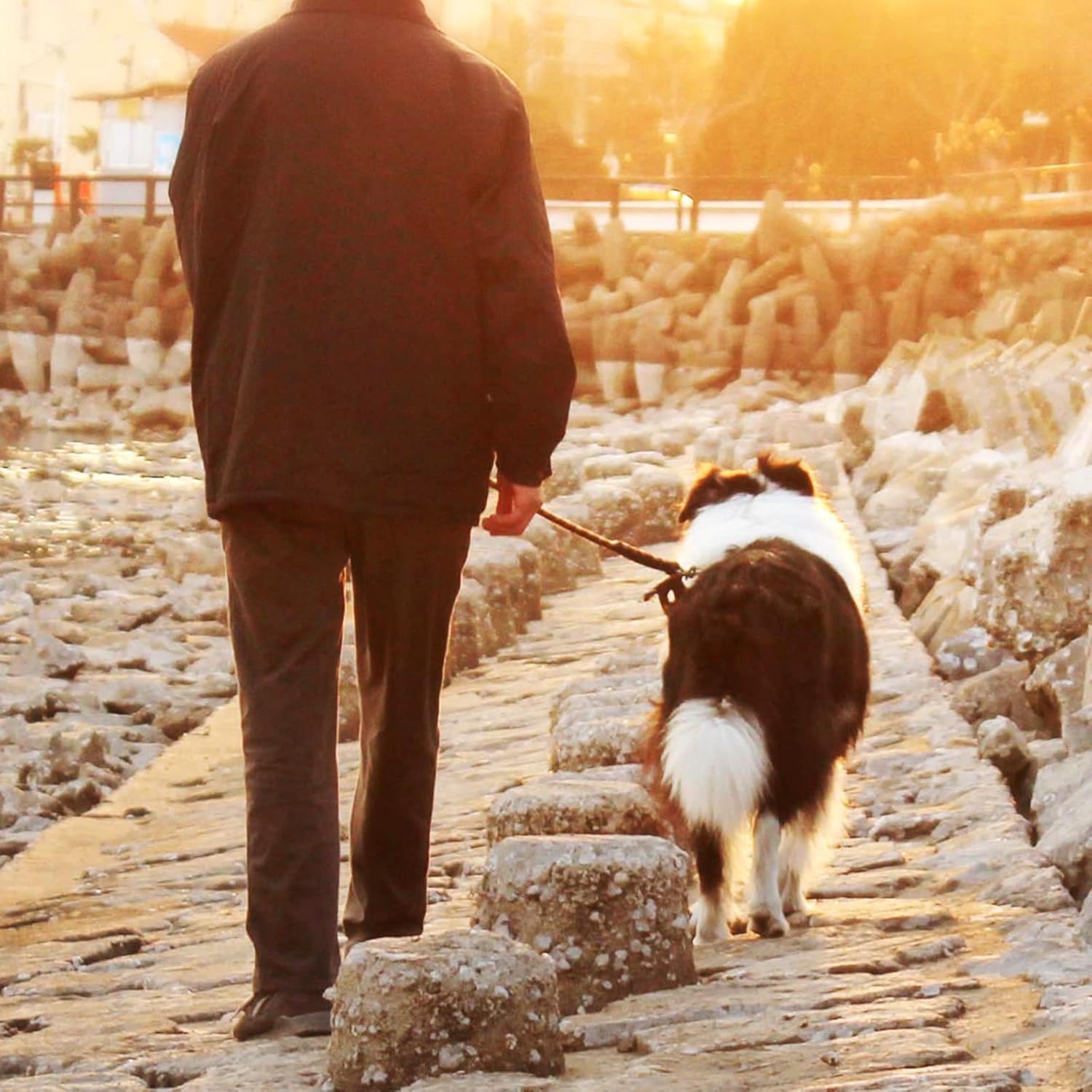 Thumbnail 5 de Mi Metty Tie-Out Leine für Hunde 6 m