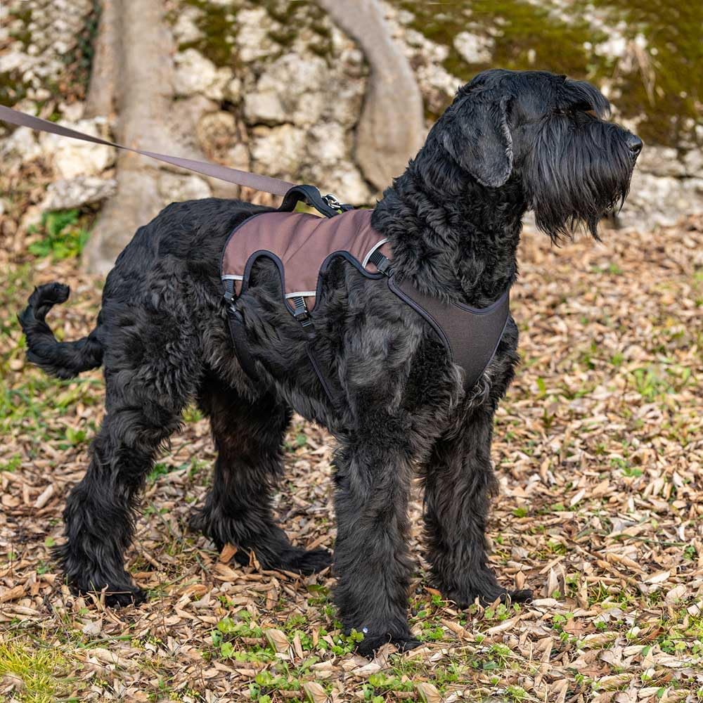 Thumbnail 2 de Ferplast ERGOTREKKING Hundegeschirr Large – Ausbruchsicher, gepolstert, reflektierend, mit Haltegriff