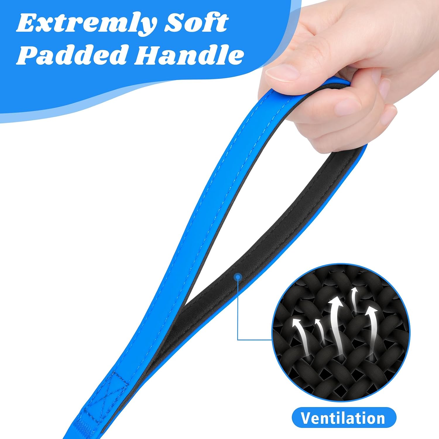 Detalle de X XBEN Training Lead 20M