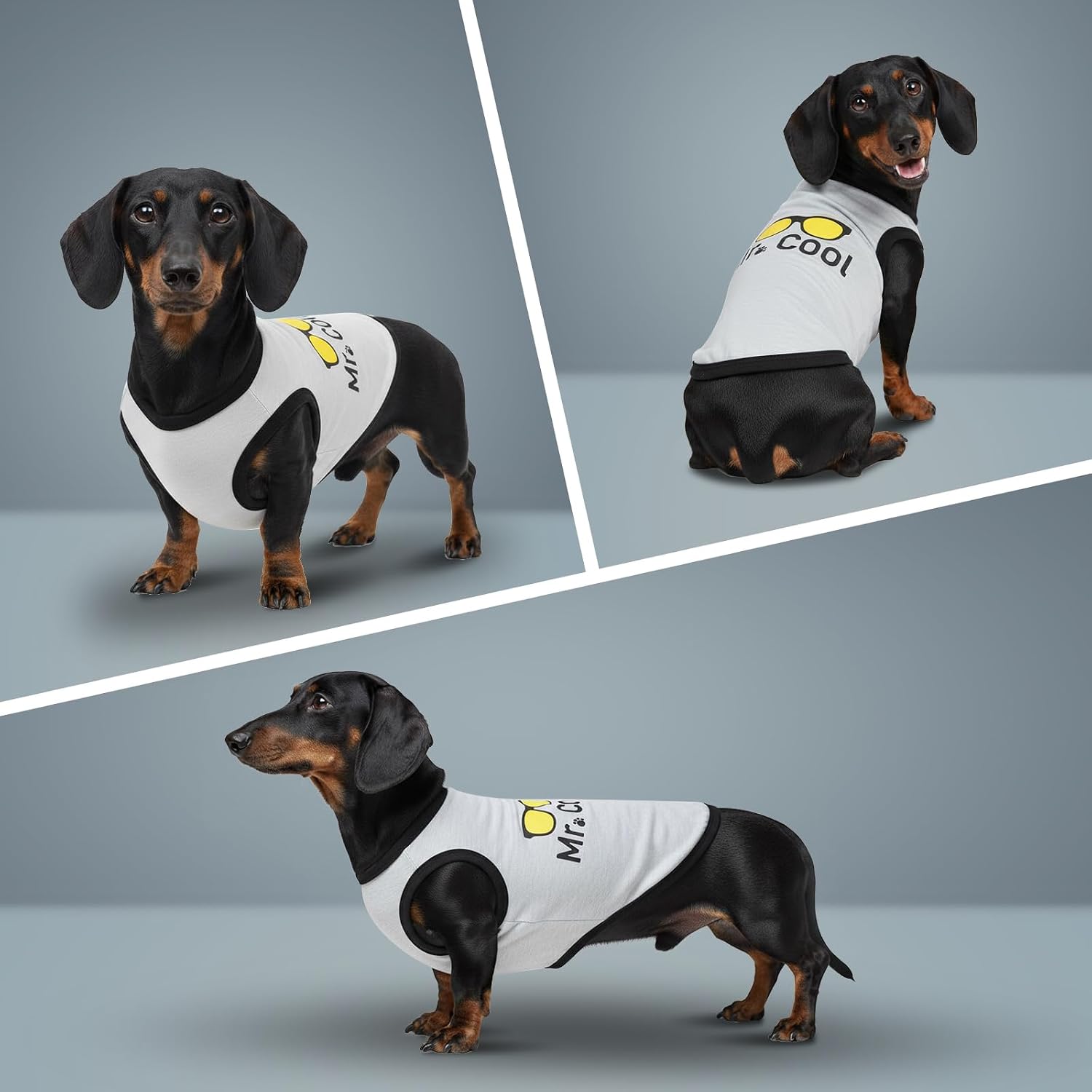 Detalle 1 de COOHAMS dog shirts, 2-pack