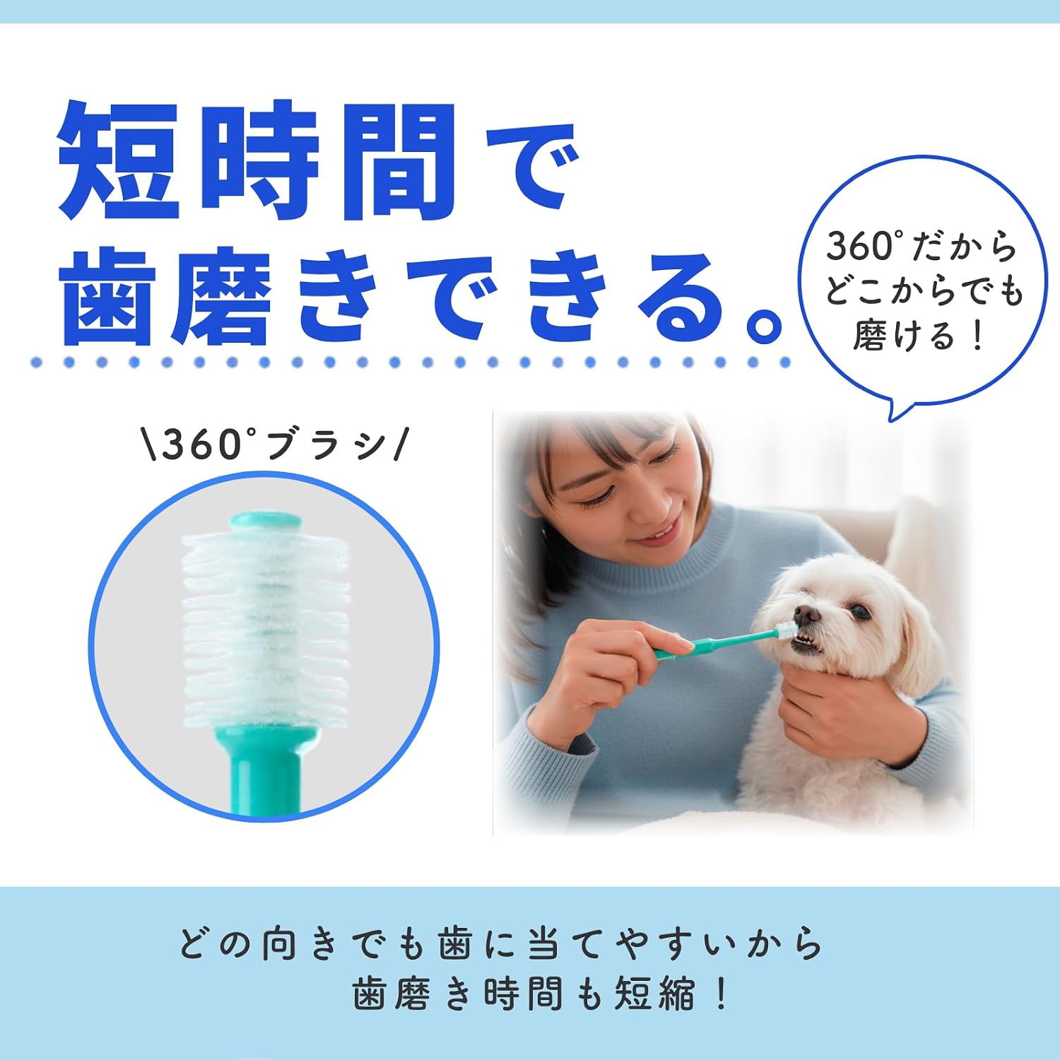 Thumbnail 6 de トーラス デントレーナー360 犬・猫用360度歯ブラシ、ナイロン毛、5本セット