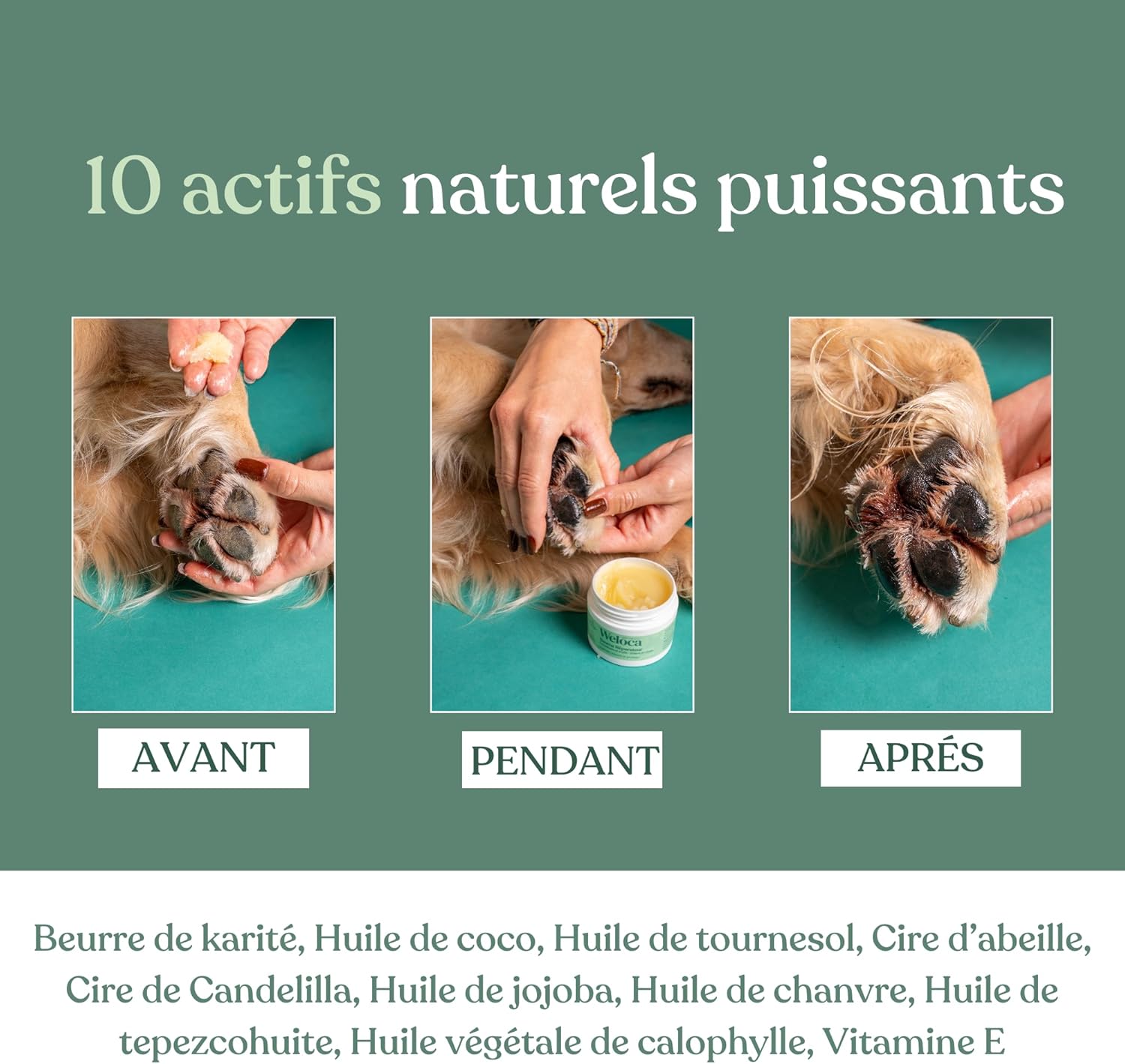 Thumbnail 2 de Baume Coussinet chien – Répare, hydrate et protège les coussinets et la truffe, 50 ml, 100% naturel