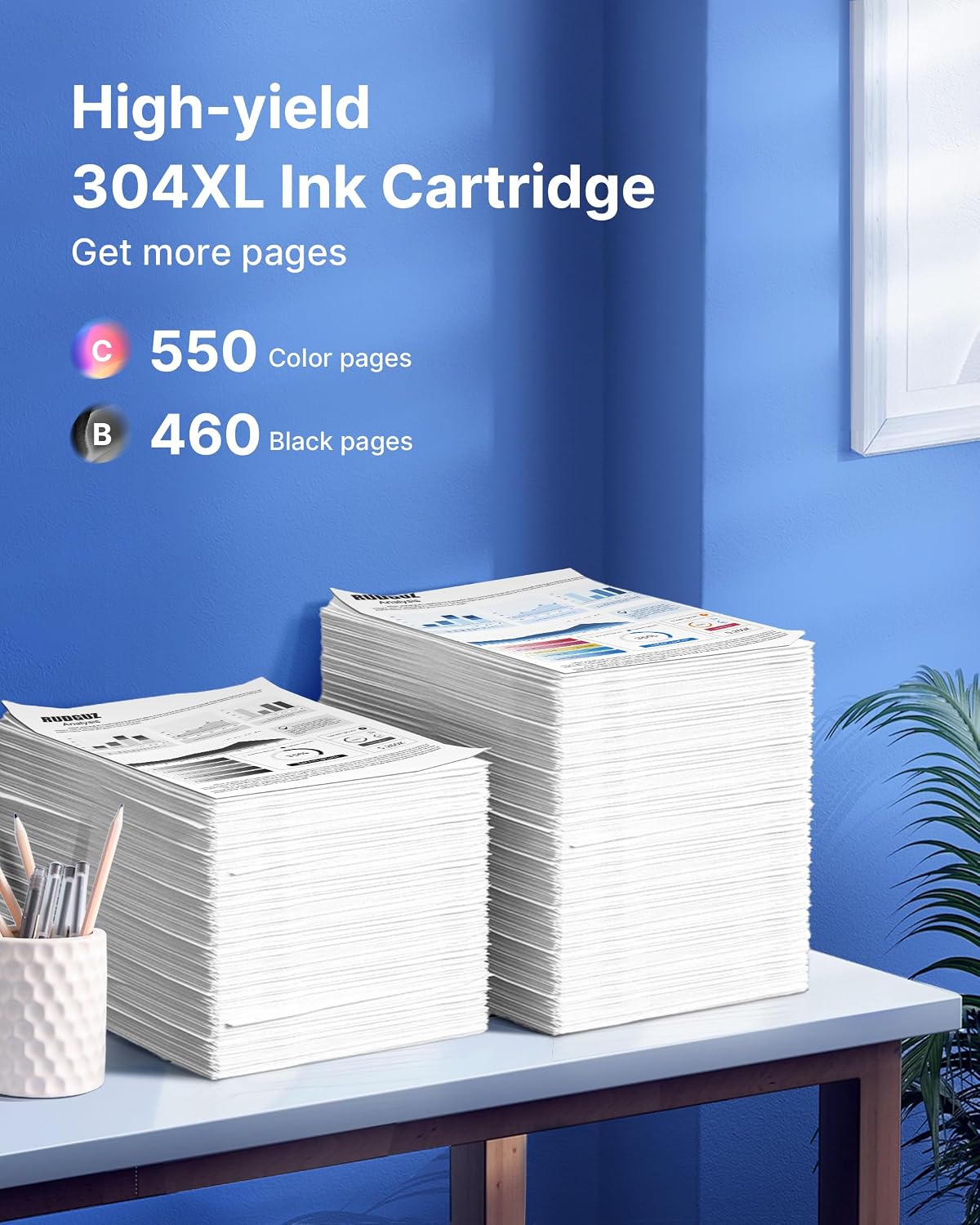 Detalle de 304XL Ink Cartridges Multipack 2-Pack đź–¨