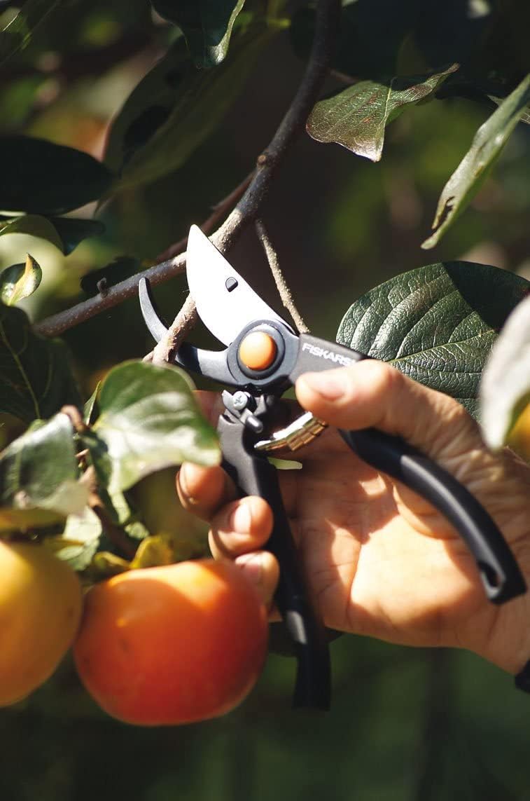 Thumbnail 9 de Fiskars P90 Tijeras de podar Bypass 🌿 Corte preciso y fácil
