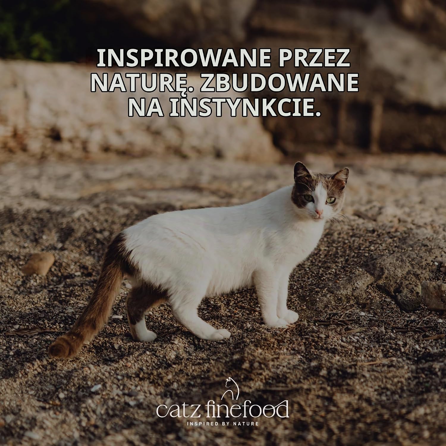 Detalle 2 de catz finefood Purrrr mokra karma dla dorosłych kotów, jagnięcina, bez zbóż
