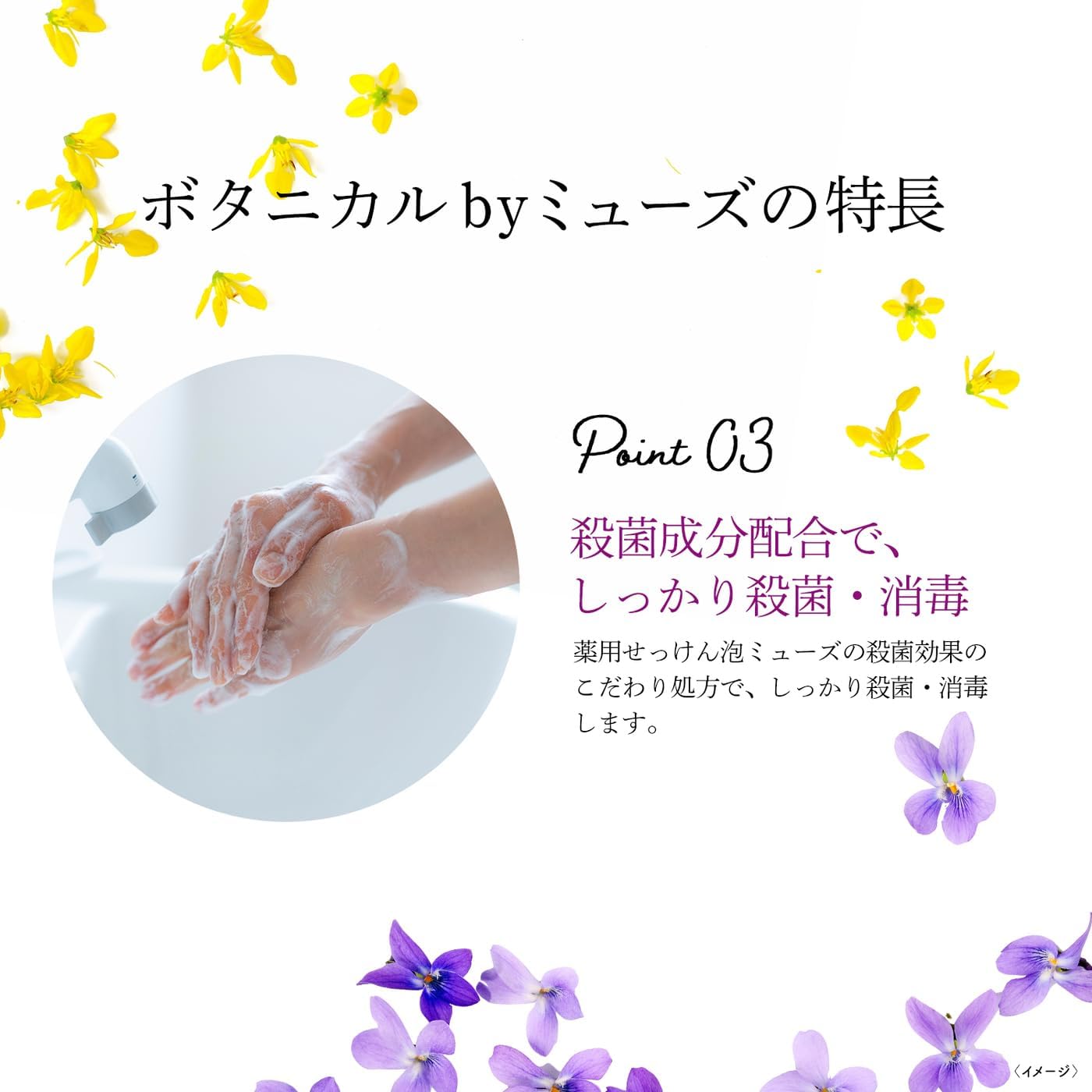 Thumbnail 6 de ミューズ 泡ハンドソープ ボタニカル 詰め替え用 1800mL スミレ&グリーンイランイランの香り