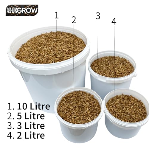 Detalle 2 de UKGROW 10L Premium value Dried Mealworms for birds (10L) by Invigortex