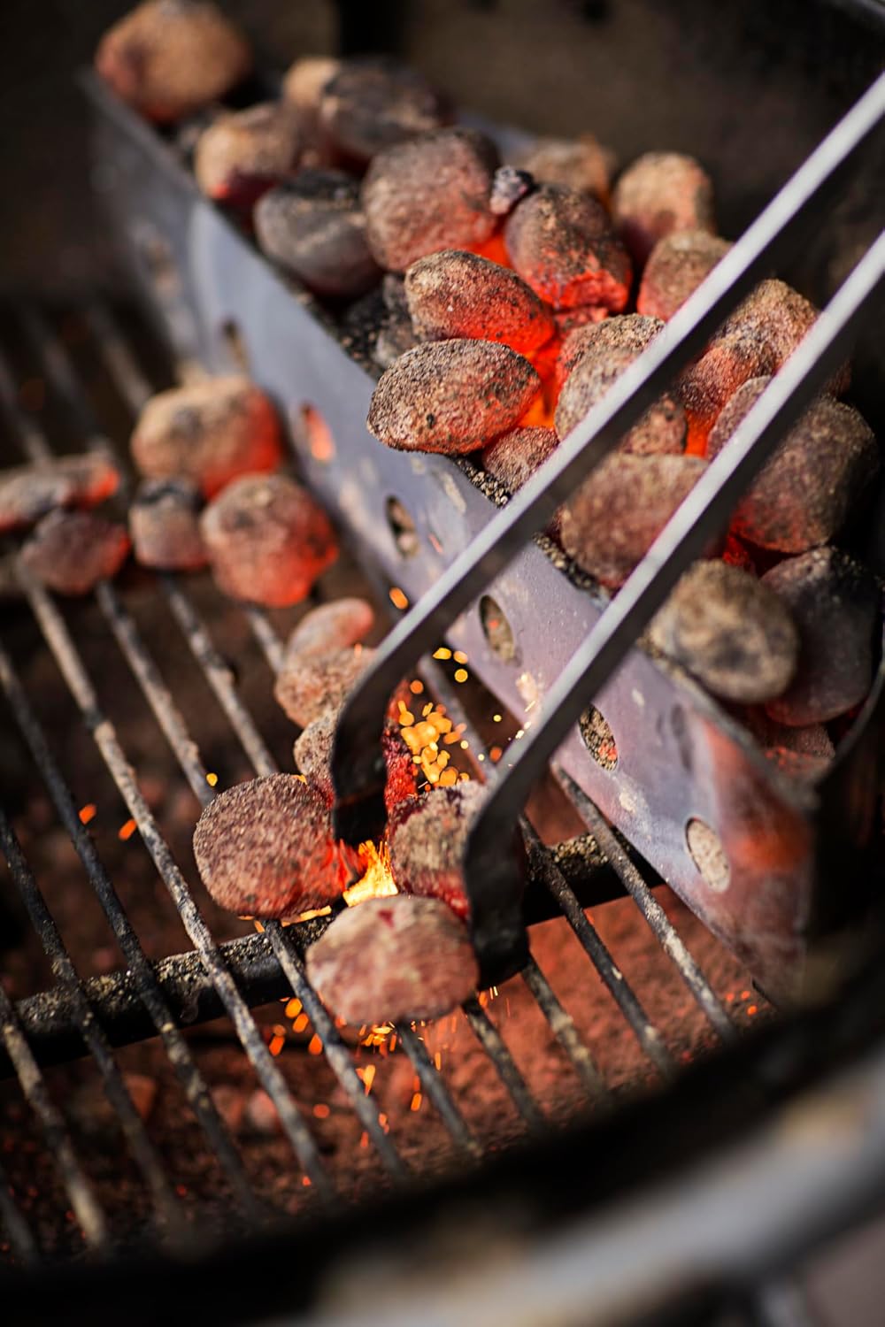 Thumbnail 2 de RÖSLE Pinzas para carbón, acero inoxidable, lavavajillas