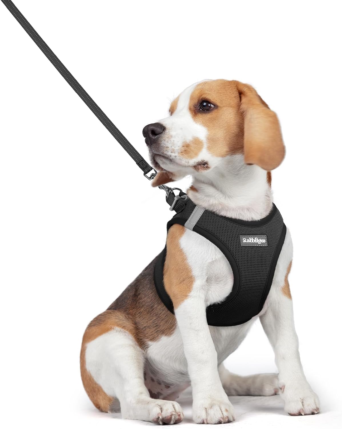 Detalle de rabbitgoo DGMJTZ01LBK25CW-EU Step-In Dog Harness and Leash Set, Black Mesh