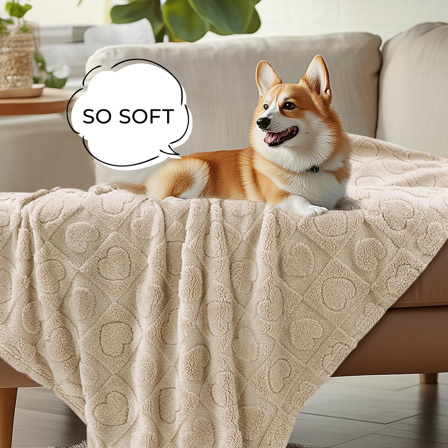 Detalle 2 de Luciphia Pet Blanket, 30 x 20 Inches