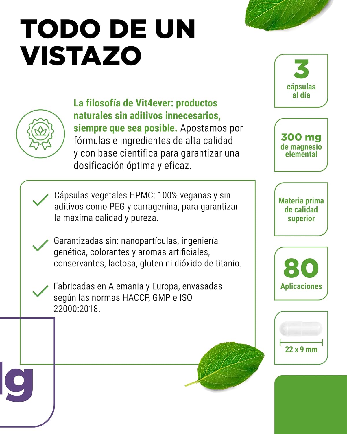 Detalle 2 de Bisglicinato de Magnesio 300 mg 240 cápsulas