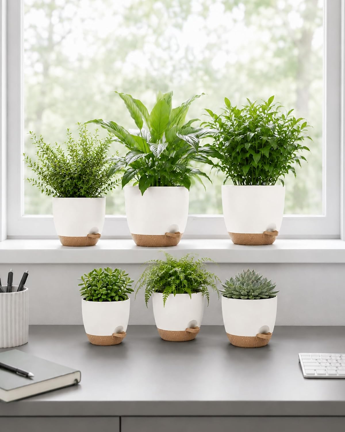 Detalle de Bamworld Vaso per Piante da Interno con drenaggio Bianco – Set autoirrigante 6 pezzi