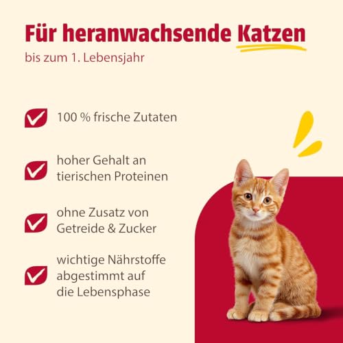 Detalle 2 de animonda Carny Kitten Nassfutter Variation für Katzenkinder (12 x 200 g) – grain-free, ausgewogene Proteine