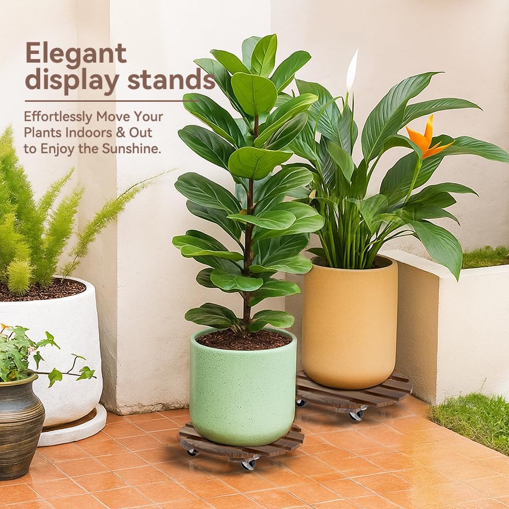Detalle 2 de Lissomballon 12-Inch Wood Plant Caddies, 2-Pack with Locking 360° Wheels
