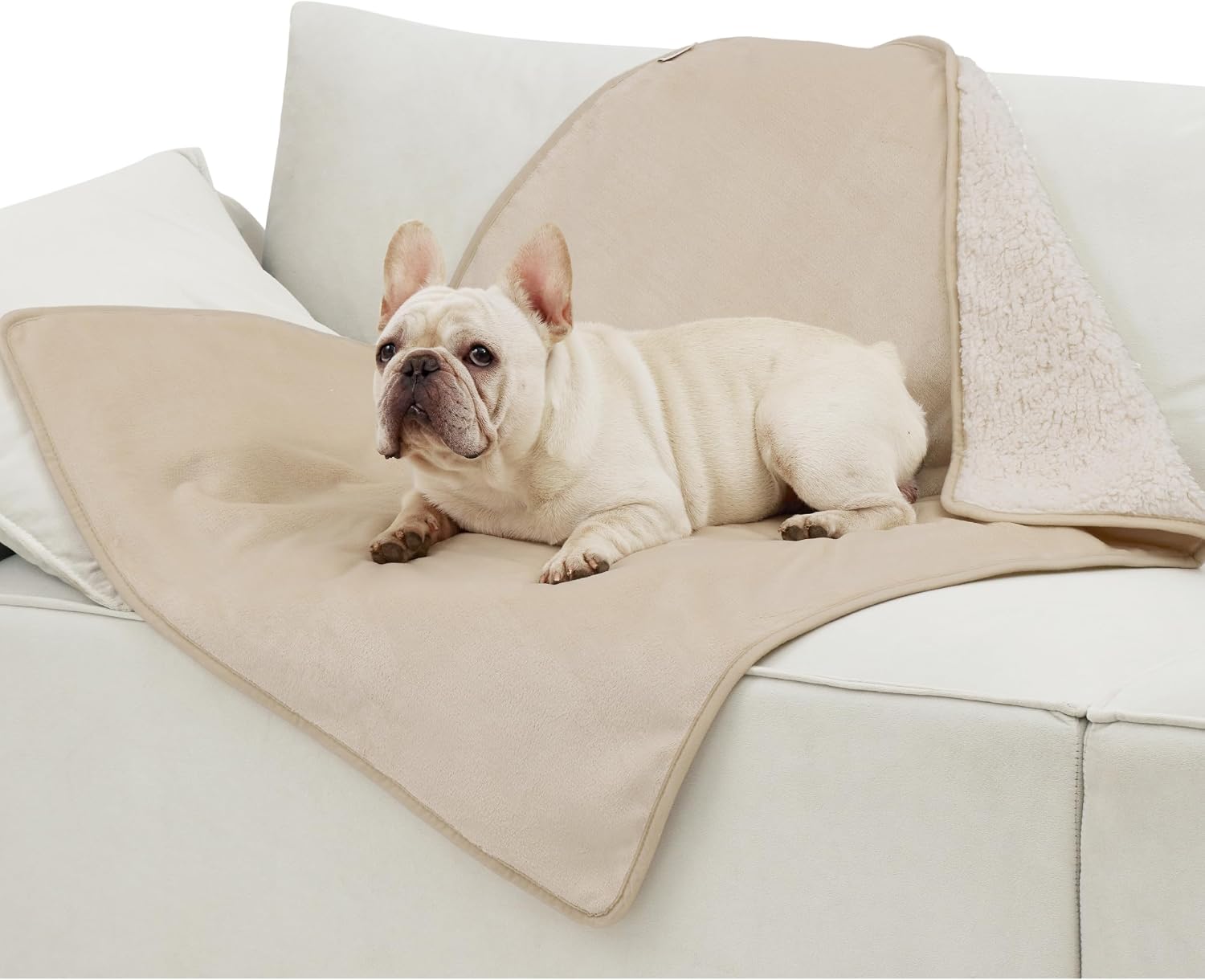 Detalle de LE SURE wasserdichte Hundedecke 100×80 cm – mittelgroße Hunde, Cremefarben, waschbar