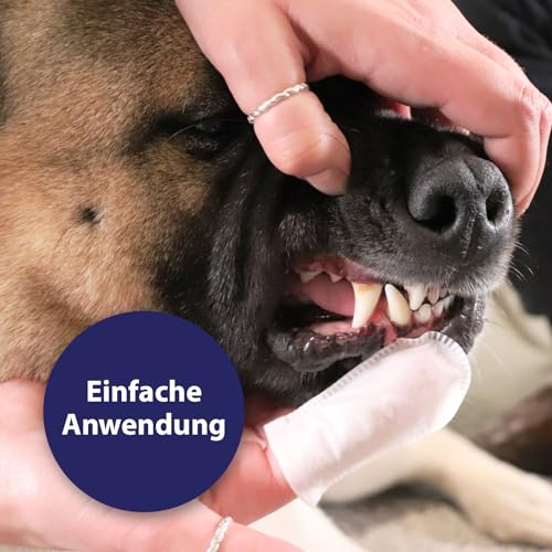 Detalle 2 de Canosept Zahnpflege Finger-Pads für Hunde – 50 Stück