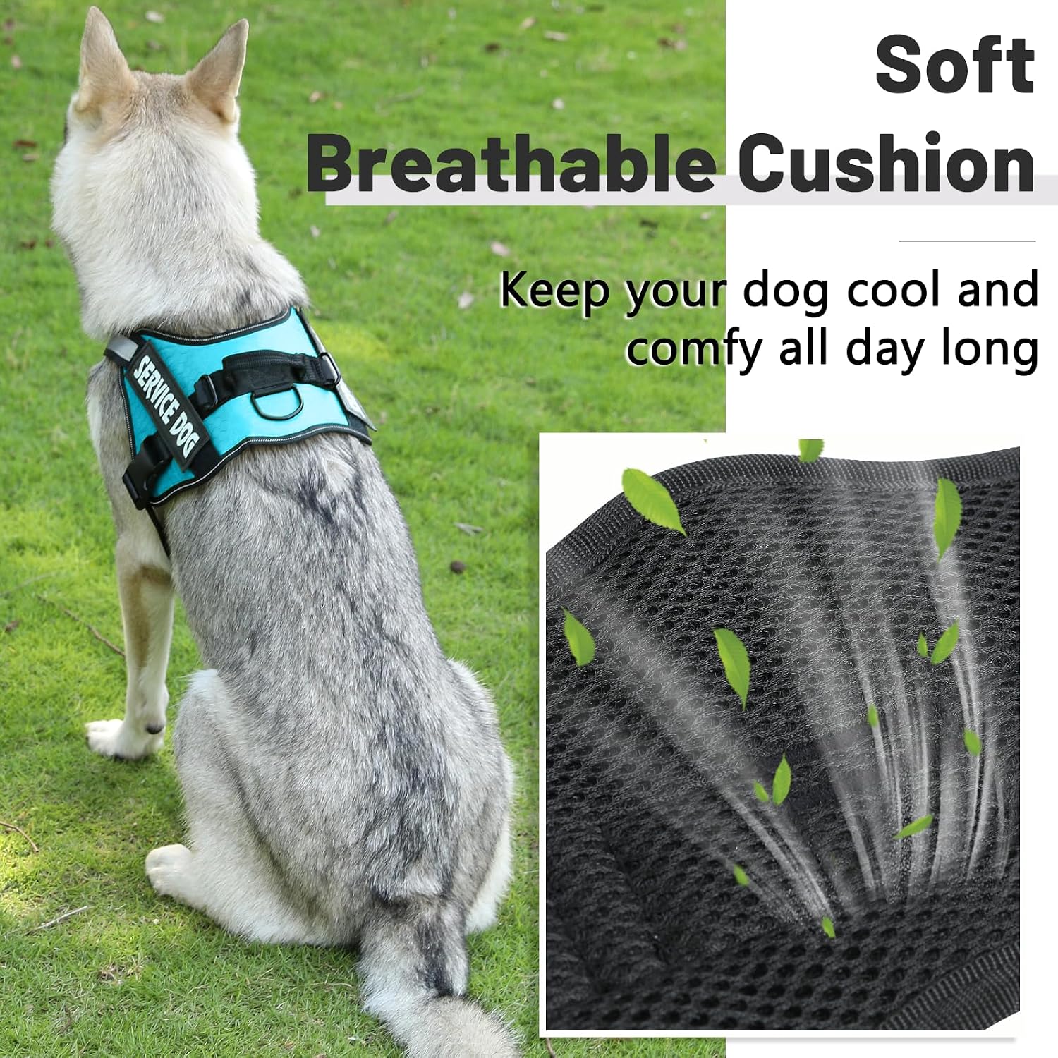 Detalle 2 de Belababy Soft No Pull Dog Harness XS (Light Blue) – Adjustable assistance service vest with safety buckle