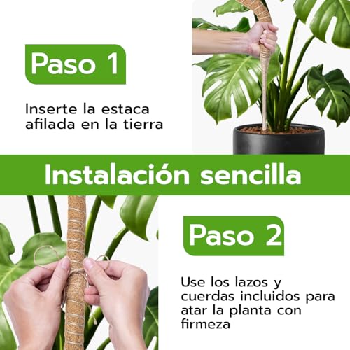 Detalle 2 de Wigearss: 2 tutores de fibra de coco de 60 cm para plantas trepadoras, con montaje y anclaje incluido