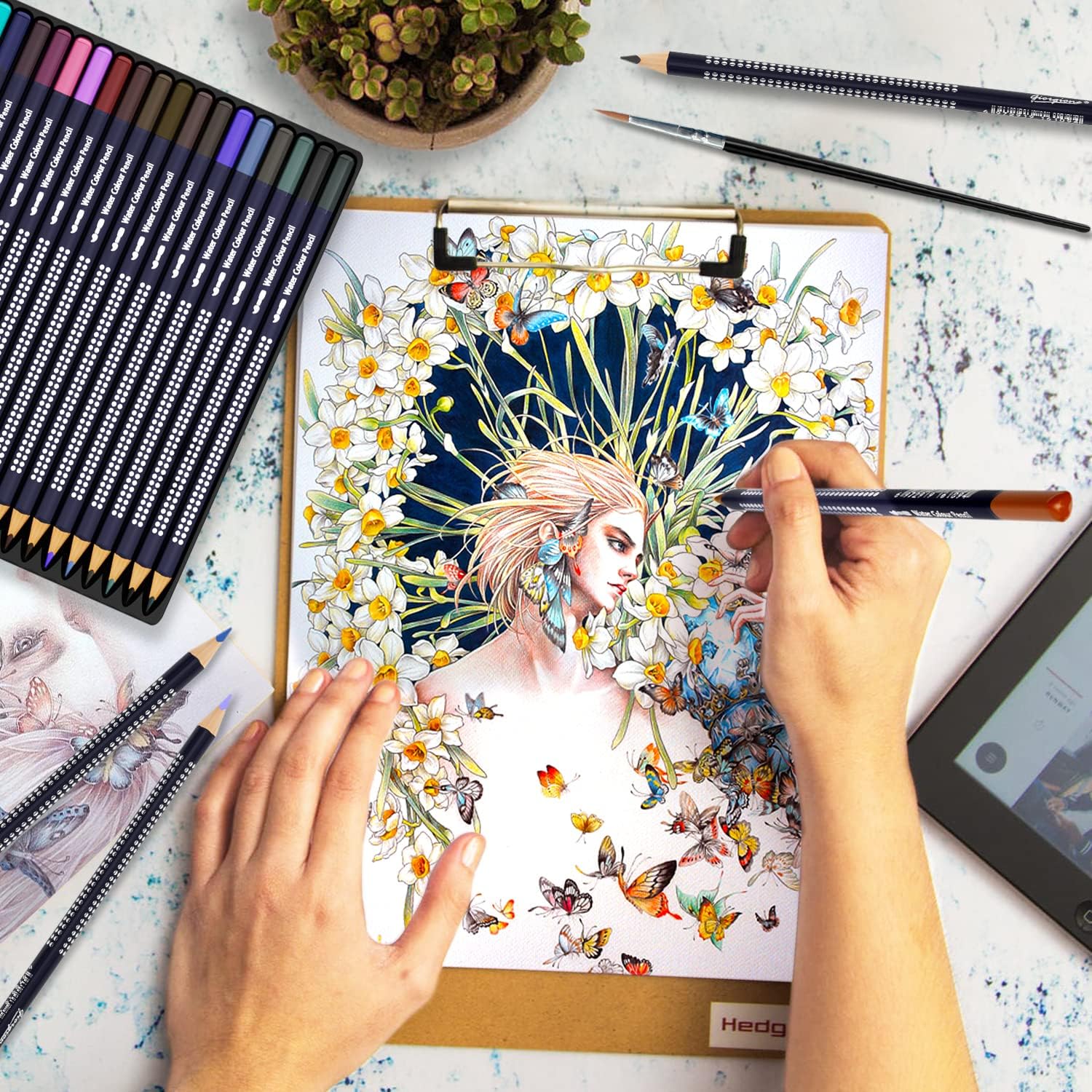 Detalle de Reaeonat Watercolour Pencils 24 Colour Set in Tin Box – A Practical Choice for Beginners and Everyday Artists