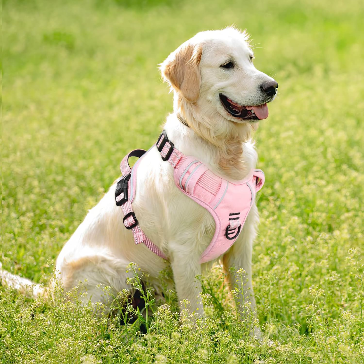 Detalle de HEELE No Pull Dog Harness - Medium (Light Pink) with Front & Back Leash Attachments