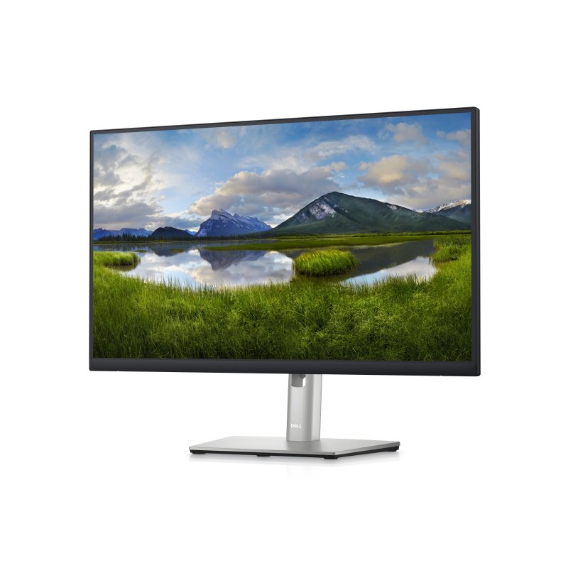 Detalle 2 de Dell P2423DE 24" LED IPS QHD con USB-C