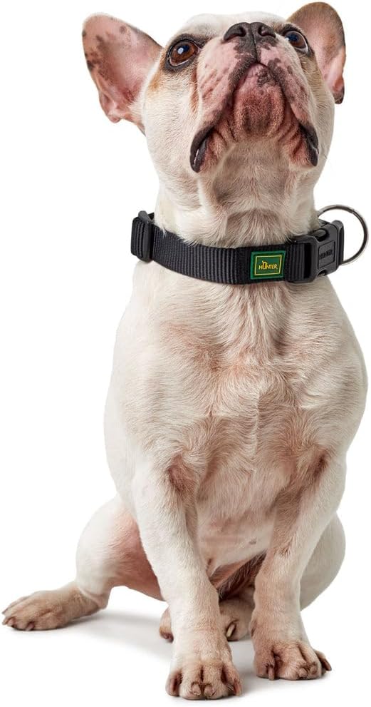 Detalle de HUNTER VARIO PLUS Hundehalsband – robustes Nylonhalsband mit Zugentlastung, Klickverschluss, Größe M‑L/2,5, schwarz