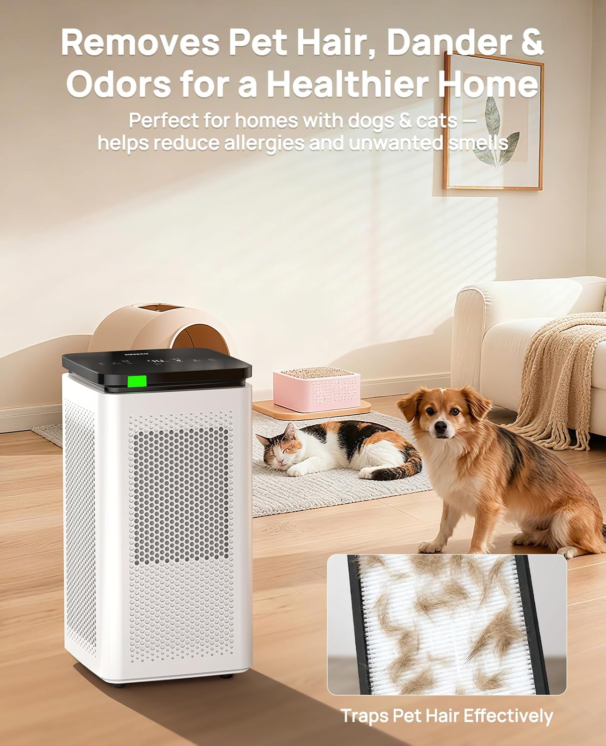 Thumbnail 6 de Air Purifiers for Home 3500 Ft² H13 HEPA