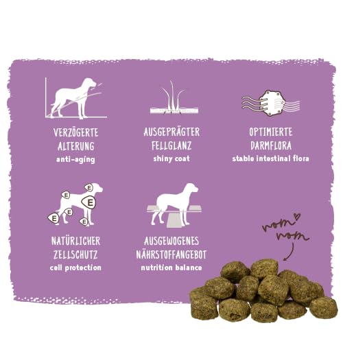 Detalle 2 de Bosch HPC Senior Hundefutter trocken, 12,5 kg – ausgewogen, wheatfrei und zuckerfrei