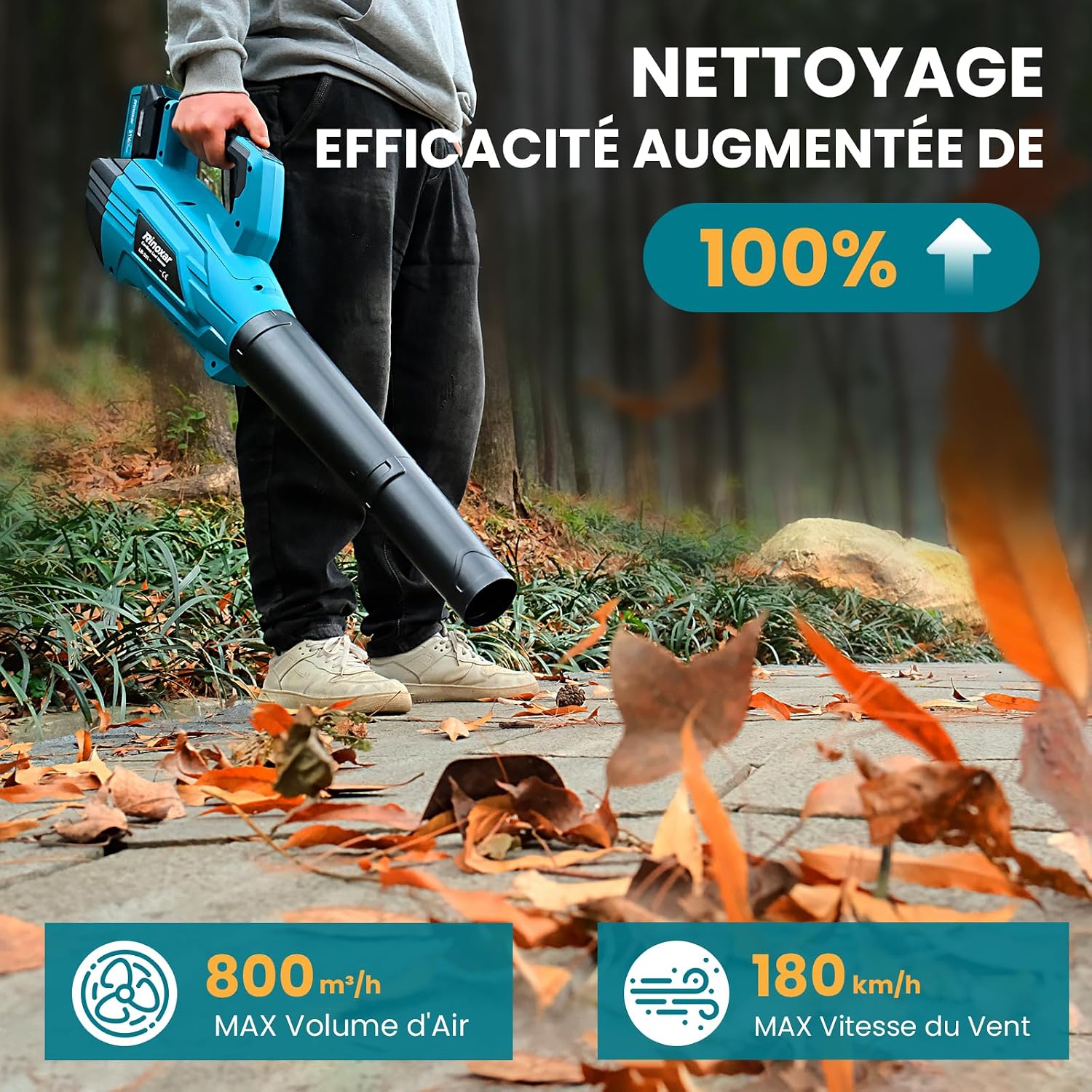 Detalle 2 de Souffleur Batterie 850W 2x5,2Ah 🌬