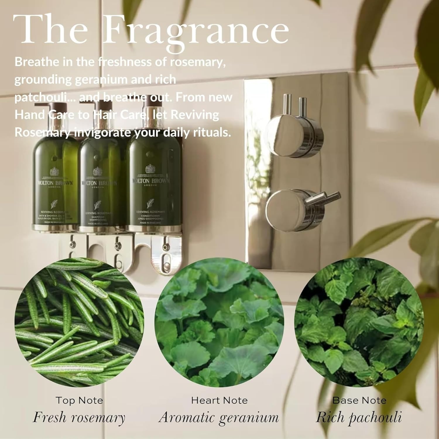 Detalle de Molton Brown Reviving Rosemary Perfume Oil Roll-On (10 ml)