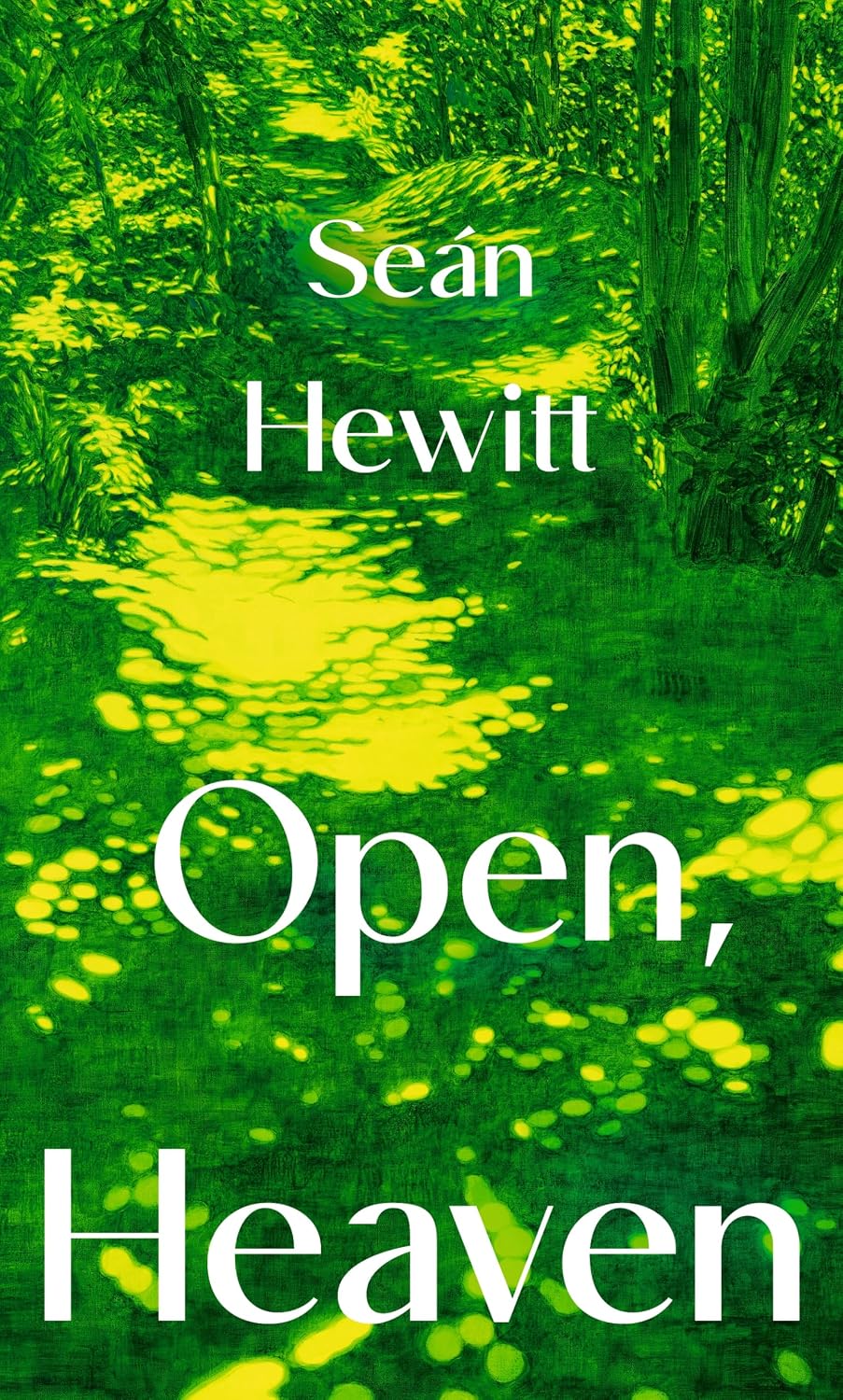 Detalle de Open, Heaven – roman over de invloed van een eerste liefde, 240 pagina’s