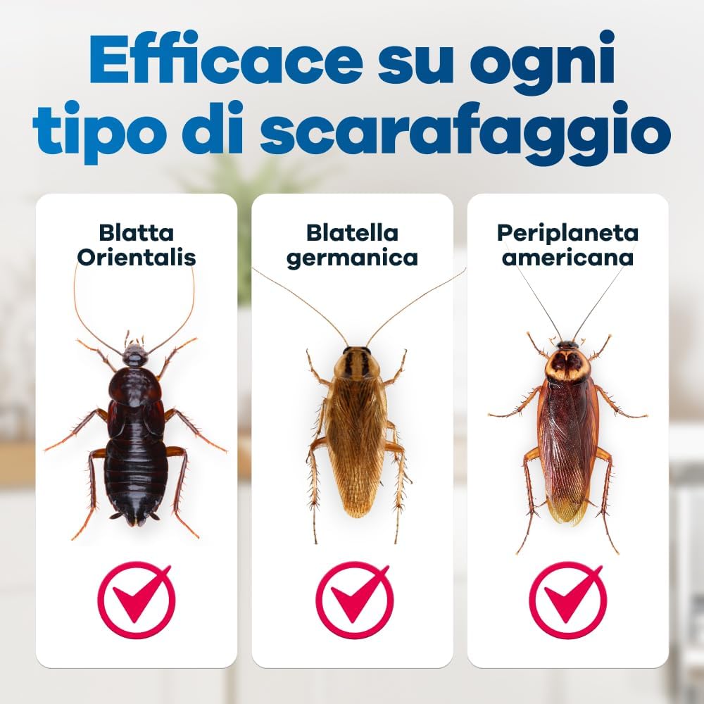 Detalle 1 de Gerobug Trappole per scarafaggi 12 pezzi
