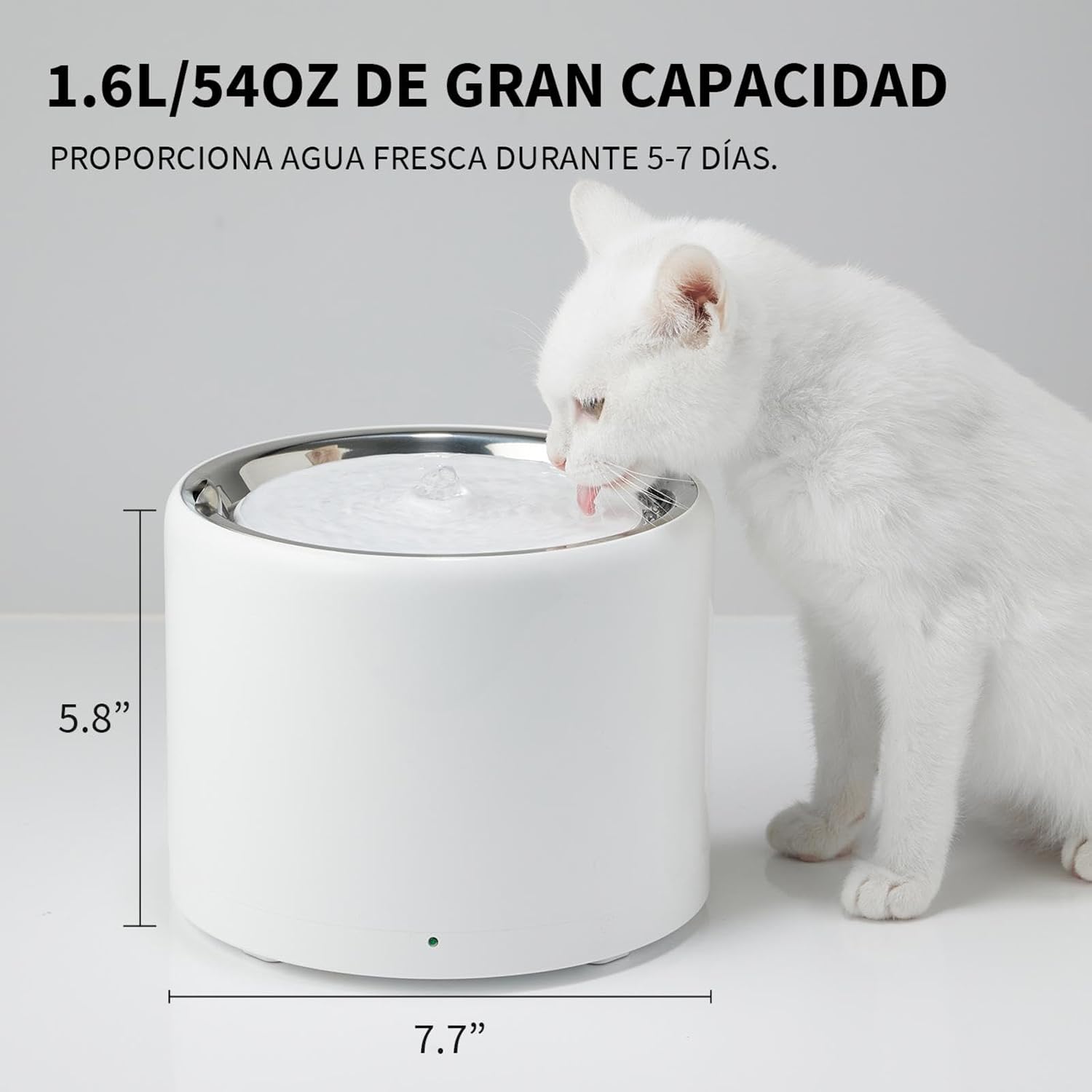 Thumbnail 5 de PETKIT EVERSWEET fuente para gatos