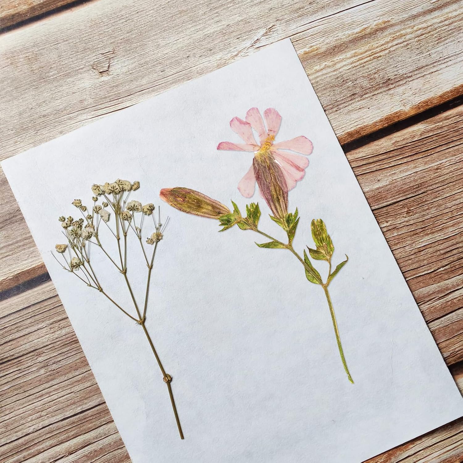 Detalle de Rhykoka Blotting Paper 20x26 cm 20 Sheets