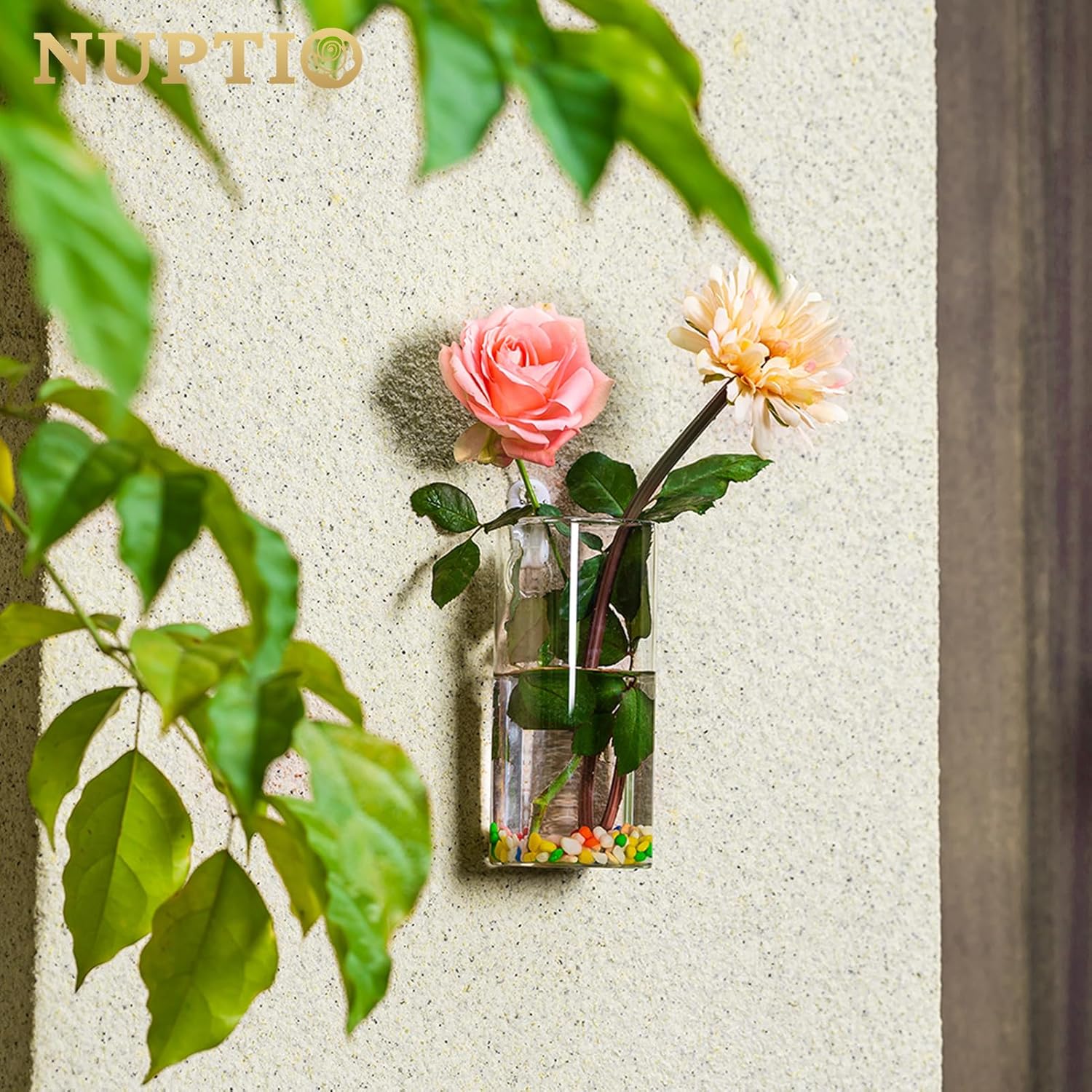 Detalle de Nuptio Vasi di Fiori da Parete in Vetro Trasparente – Set da 4, Sospesi e Resistenti