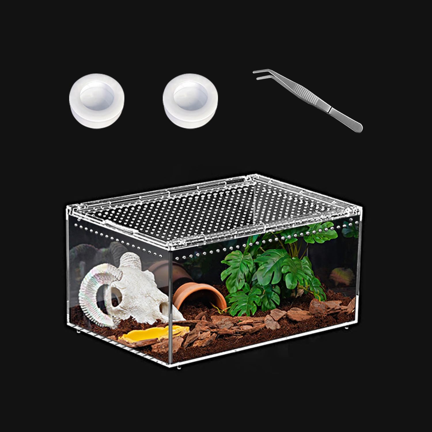 Thumbnail 6 de KAKOOTI Reptilien-PC-Terrarium 20 x 15 x 10 cm – Kleines Starter-Terrarium für Geckos, Spinnen und Co.