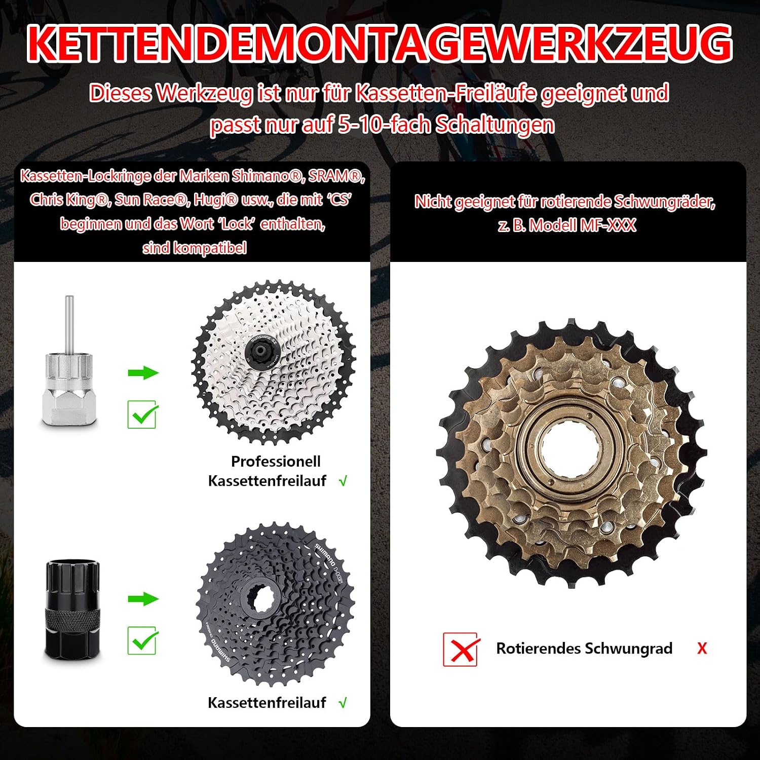 Detalle 2 de TBoonor Kettenpeitsche und Abzieher Set