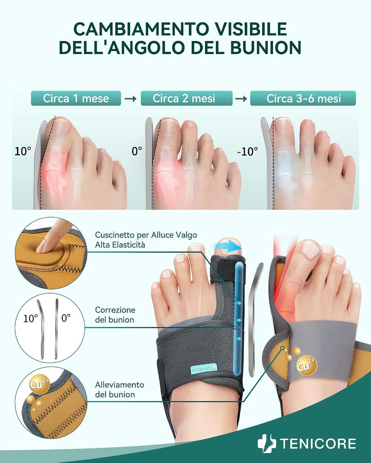 Detalle 2 de TENICORE Aggiornamento Alluce Valgo Correttore con 2 Barre Angolari 0°/10°