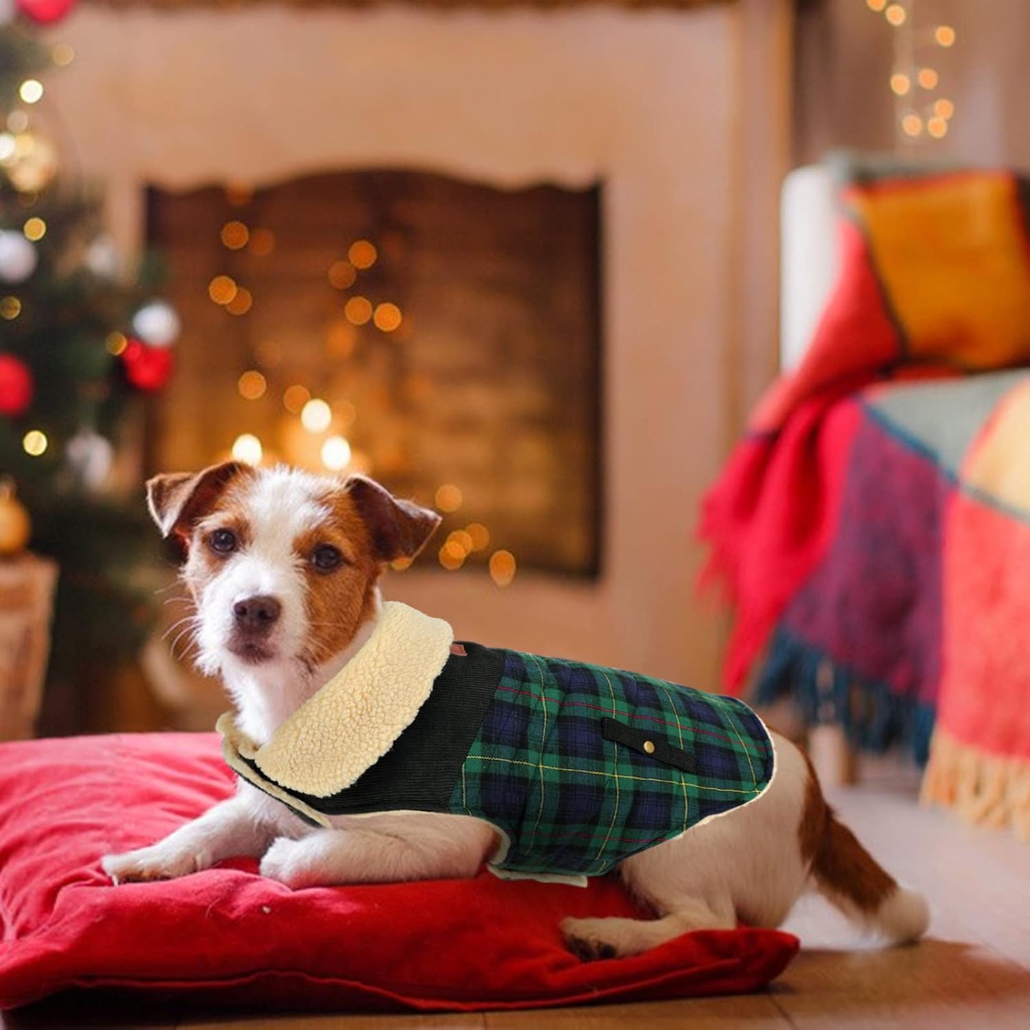 Detalle de CITÉTOILE Dog Coat – Warm Fleece-Lined Dog Jacket (Green, XS) for Small & Medium Dogs