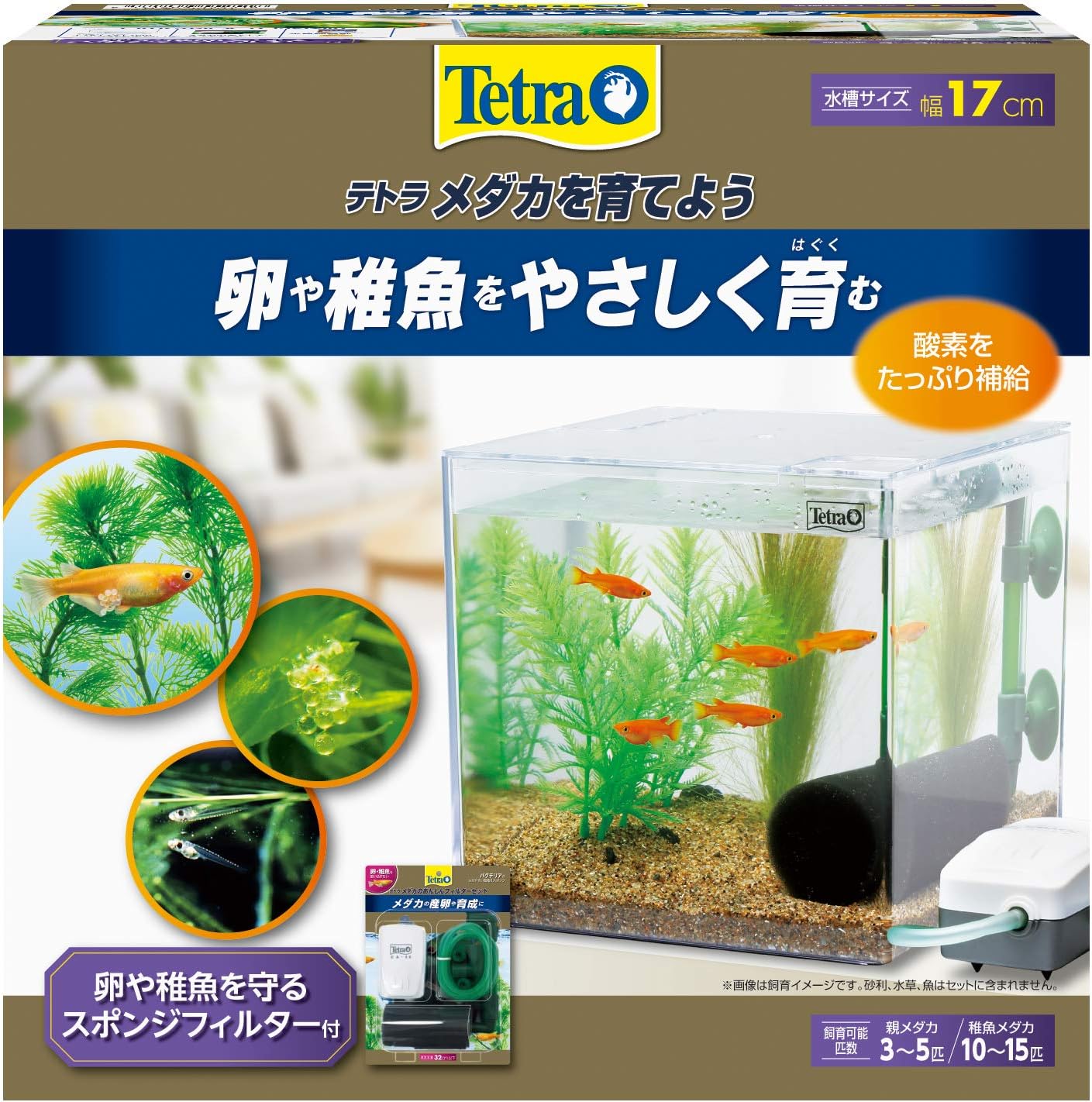 Detalle 2 de テトラ PL-17KB メダカ用プラスチック水槽 17cm角・エアリフト式スポンジフィルター