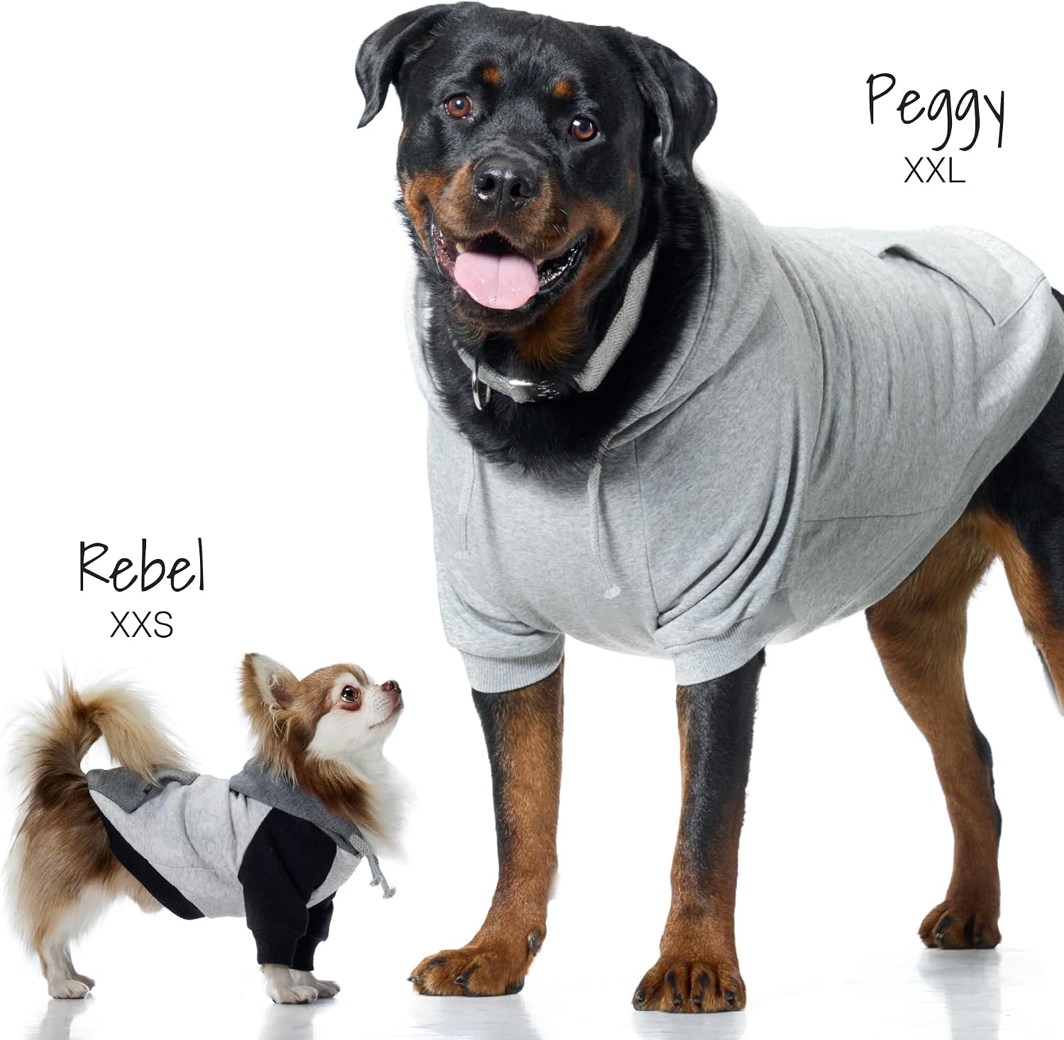 Detalle de Pet Passion Dog Hoodie, XX-Large