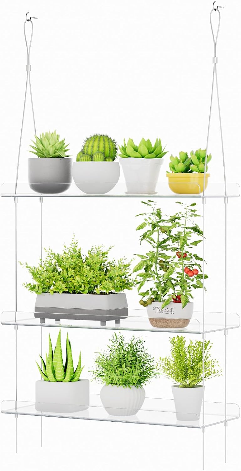 Detalle de Lifewit 24127 wandplank voor planten, transparant en verstelbaar met 3 niveaus