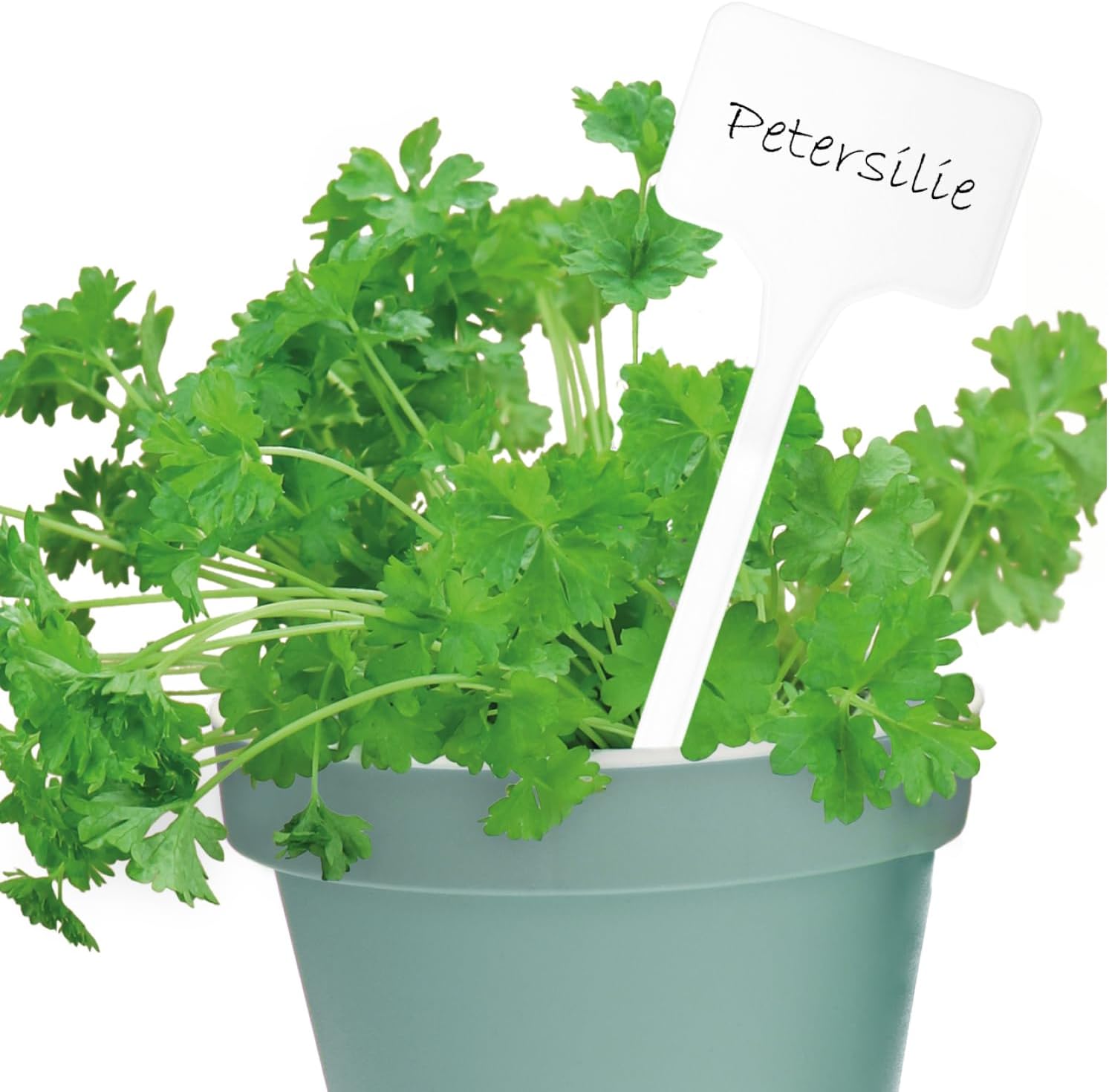 Thumbnail 6 de com-four 50x Etichette per Piante con Pennarello a Doppia Punta – Etichette a innesto 15 cm per giardino e interno