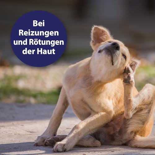 Detalle de Canosept Hautpflegespray für Hunde 250 ml – gegen Juckreiz, Milben & Hautreizungen