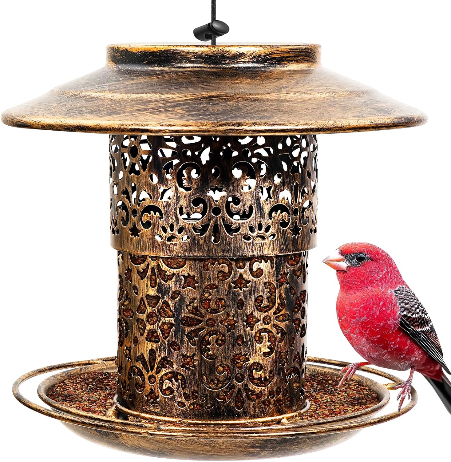 Thumbnail 6 de BPYOT Metal Bird Feeder Chew-proof